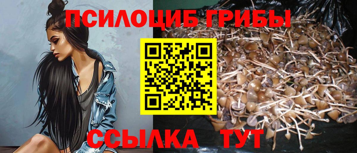 Галлюциногенные грибы MAGIC MUSHROOMS Ликино-Дулёво